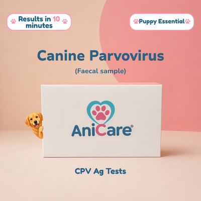 Canine Parvovirus (CPV) Ag Rapid Tests