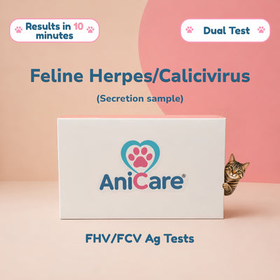 Feline Herpesvirus & Calicivirus (FHV/FCV) Ag Rapid Tests