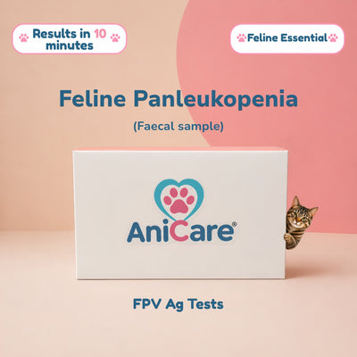 Feline Panleukopenia (FPV) Ag Rapid Tests